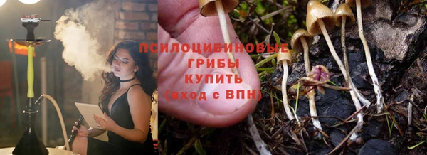 МДПВ Рославль