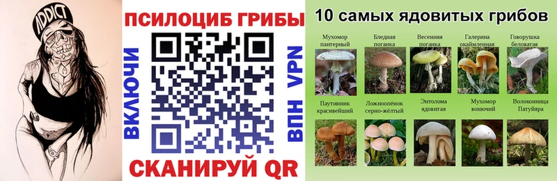 Галлюциногенные грибы Psilocybe  как найти   ссылка на мегу как зайти  Рузаевка 